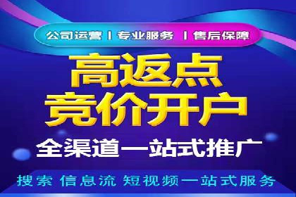 案例剖析：高价关键词推广的效益